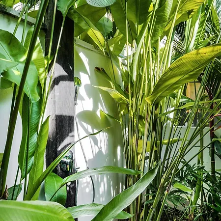 Villa Arroyo By Balisuperhost Ubud (Bali) Exterior photo